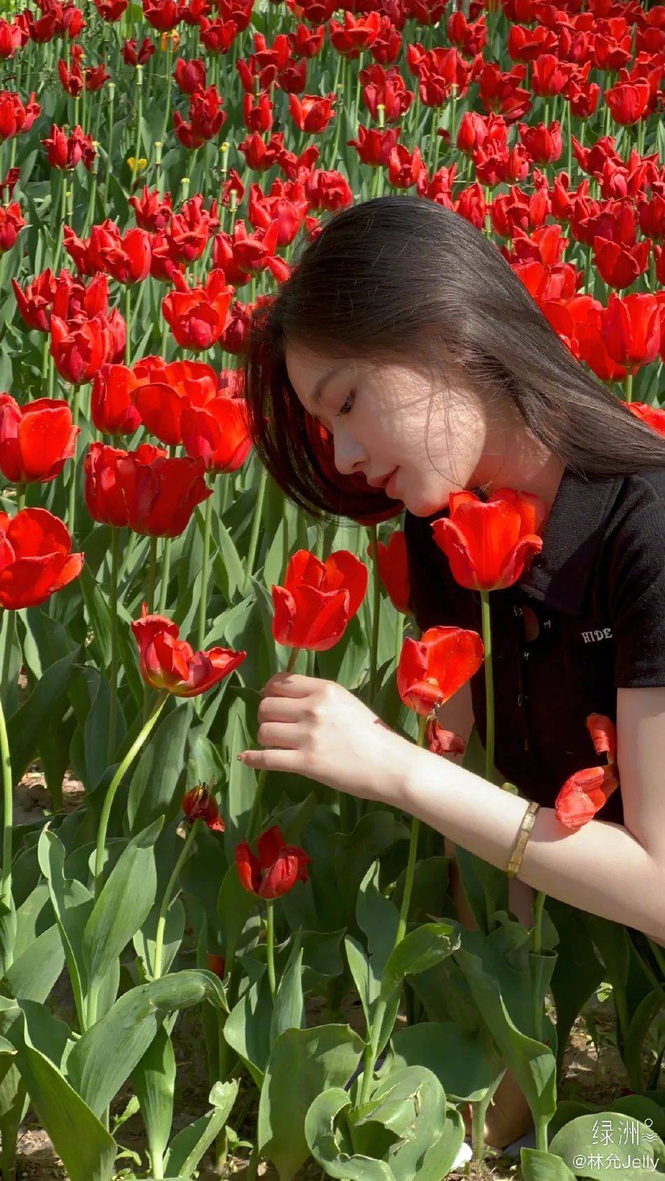 �������Ứ����ͼ�����ޣ������崿��������̫��������